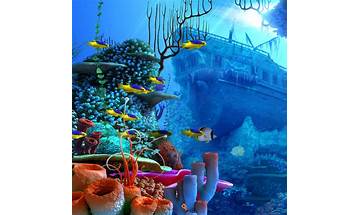 Under the Sea Live Wallpaper for Android - Download the APK from Habererciyes
